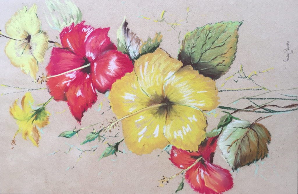 Hibiscus-III