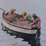 Big eye scad harvest