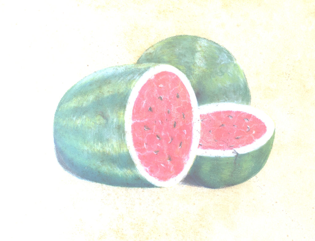 Patia-Watermelon