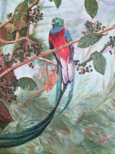 Quetzal