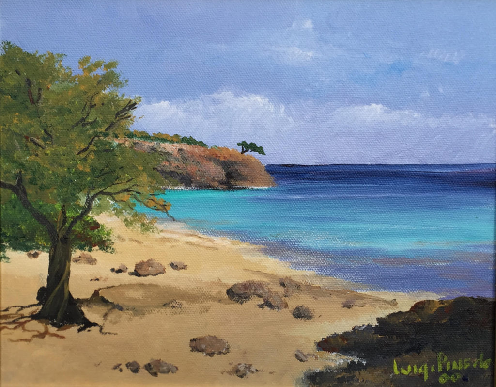 Playa piskado-II